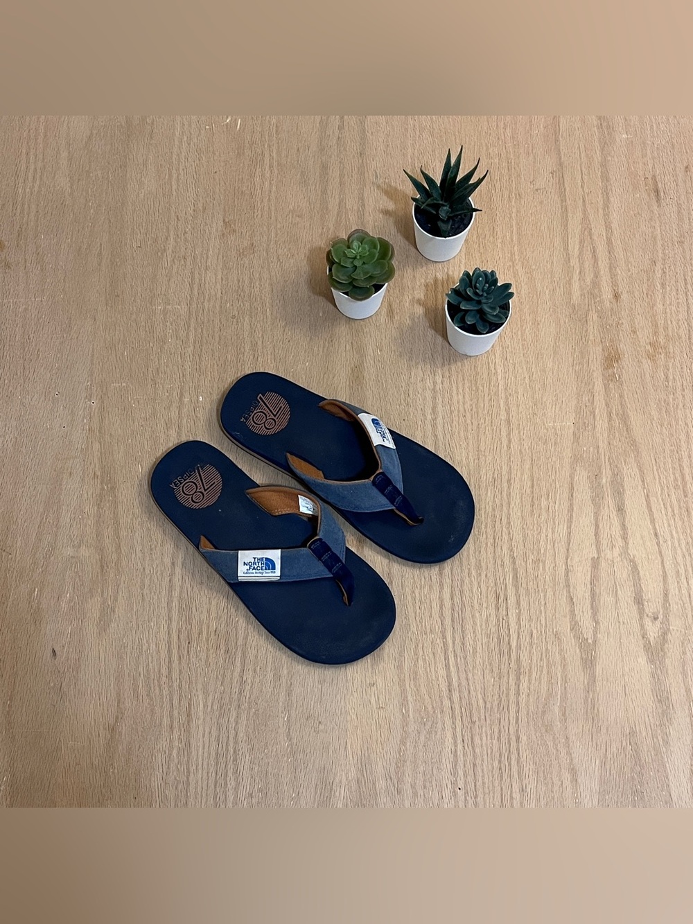 The North Face Dipsea Flip Flops